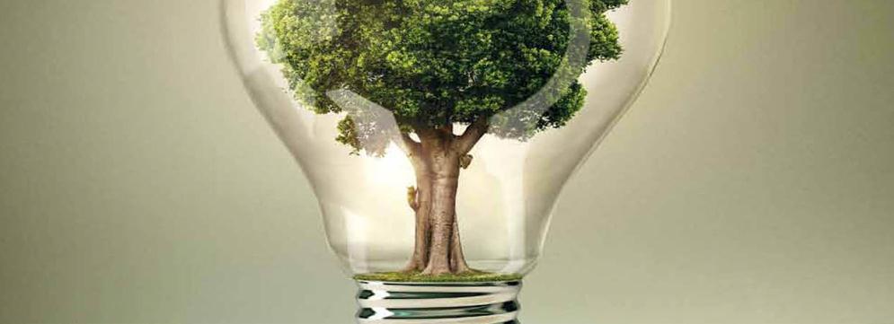UN'OTTIMA IDEA: DIVENTA VOLONTARIO AUSER!