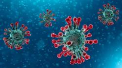 CORONAVIRUS